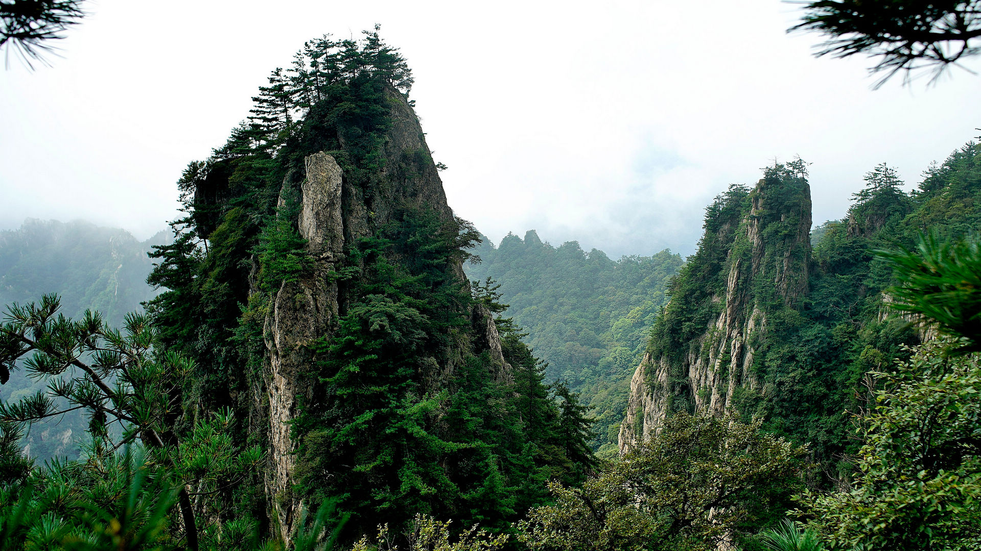 纪录片《山脊之上》封面